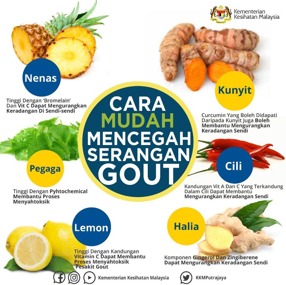Senarai Makanan Untuk Pesakit Gout