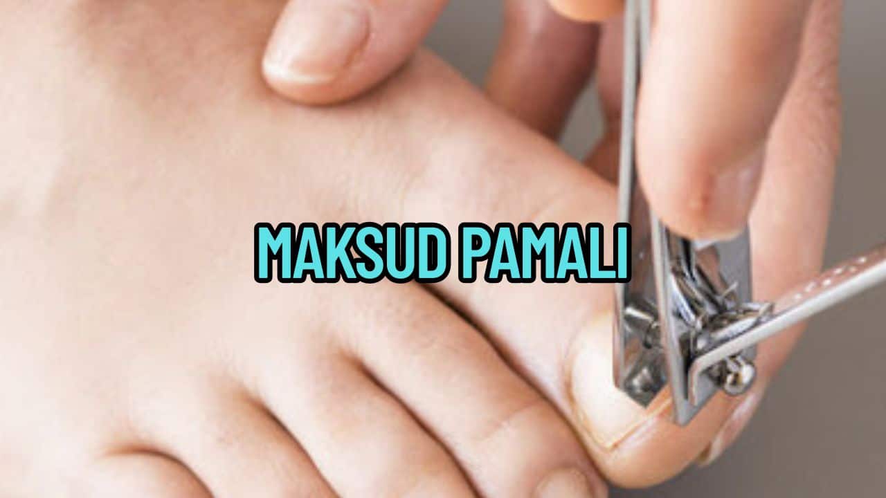 Maksud Pamali